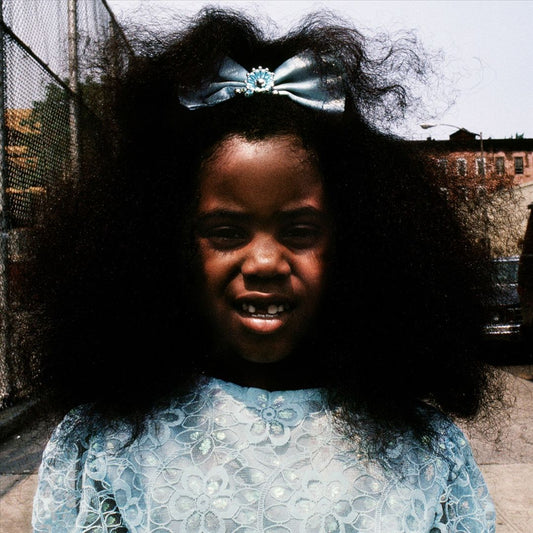 Black Terry Cat [LP] cover art