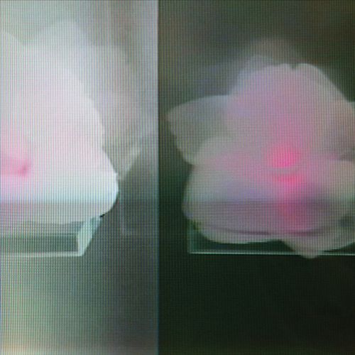 Kept In cover art