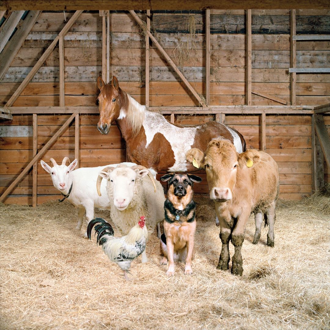 Special Request and Fwends cover art