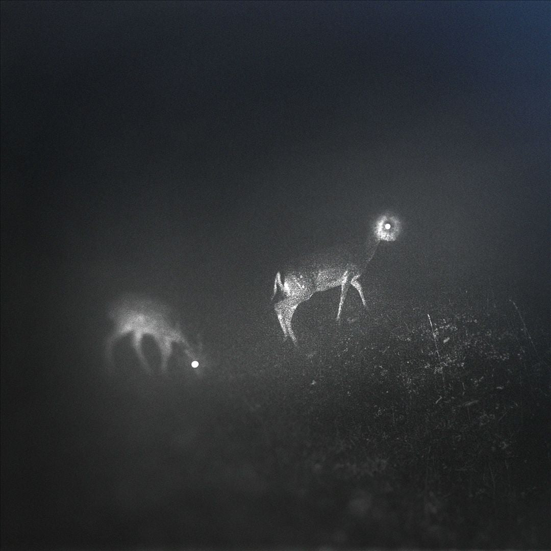 Bliss Signal cover art