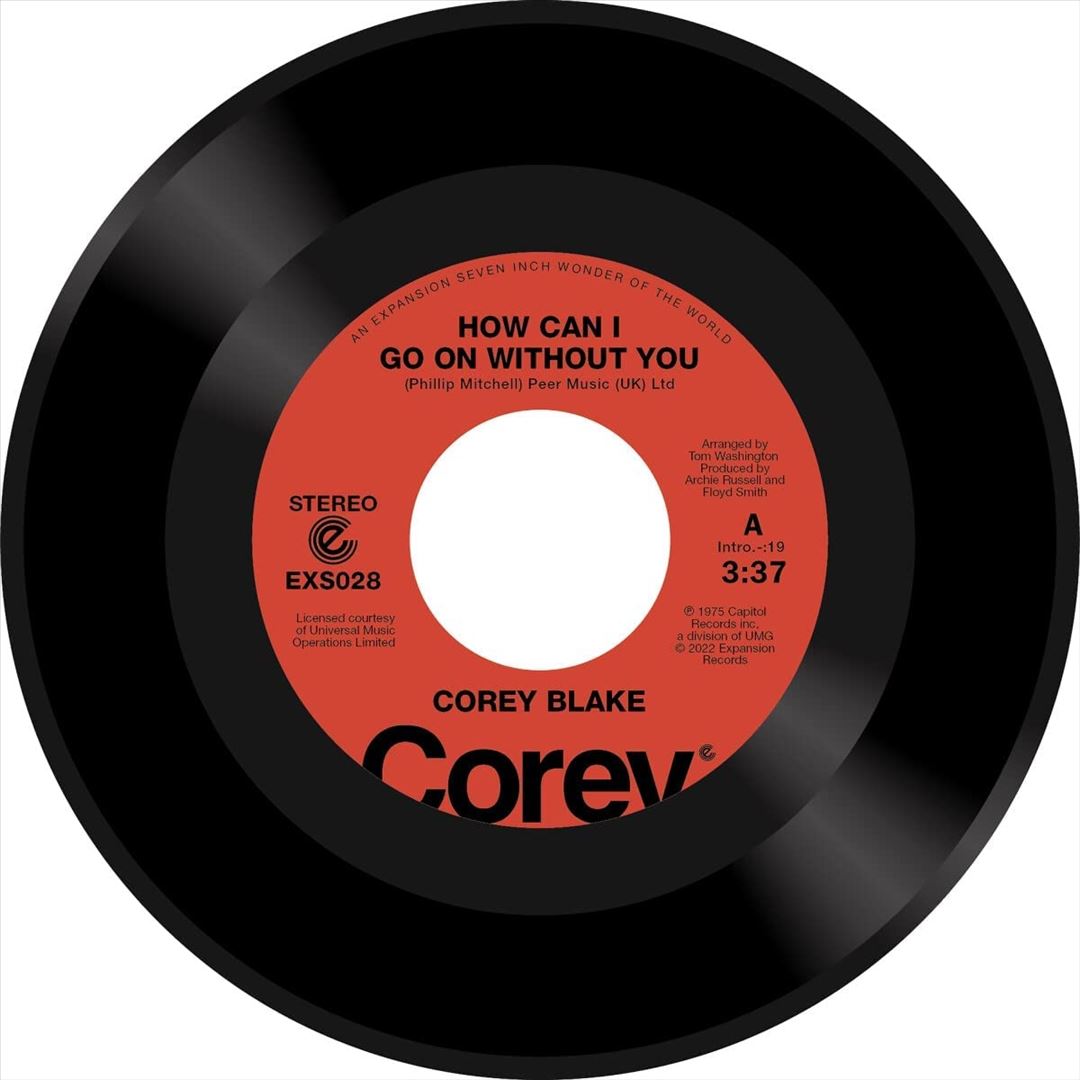 How Can I Go On Without You cover art