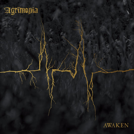 Awaken cover art