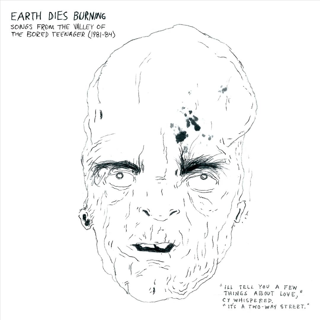Songs from the Valley of the Bored Teenager (1981-84) cover art