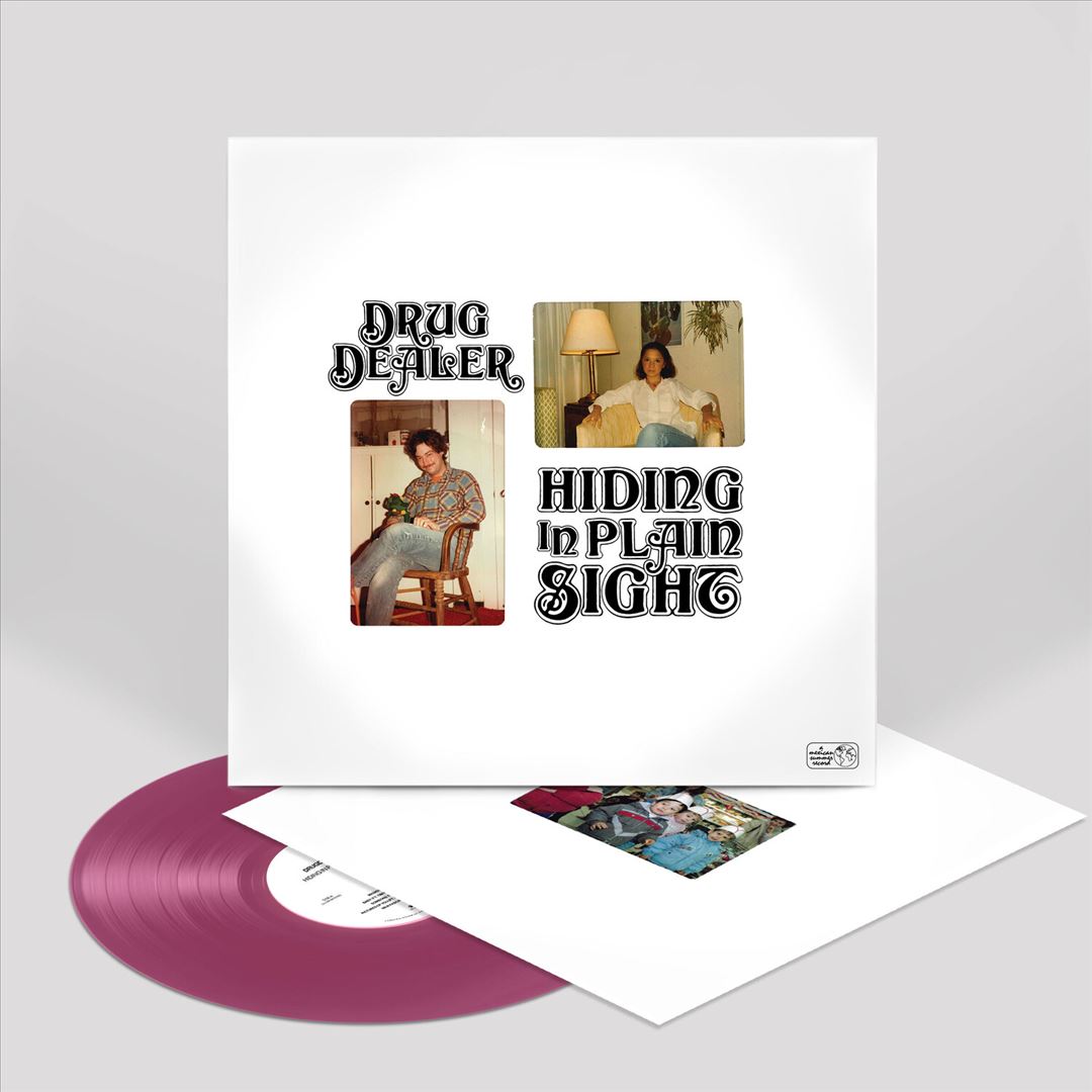 Hiding in Plain Sight cover art