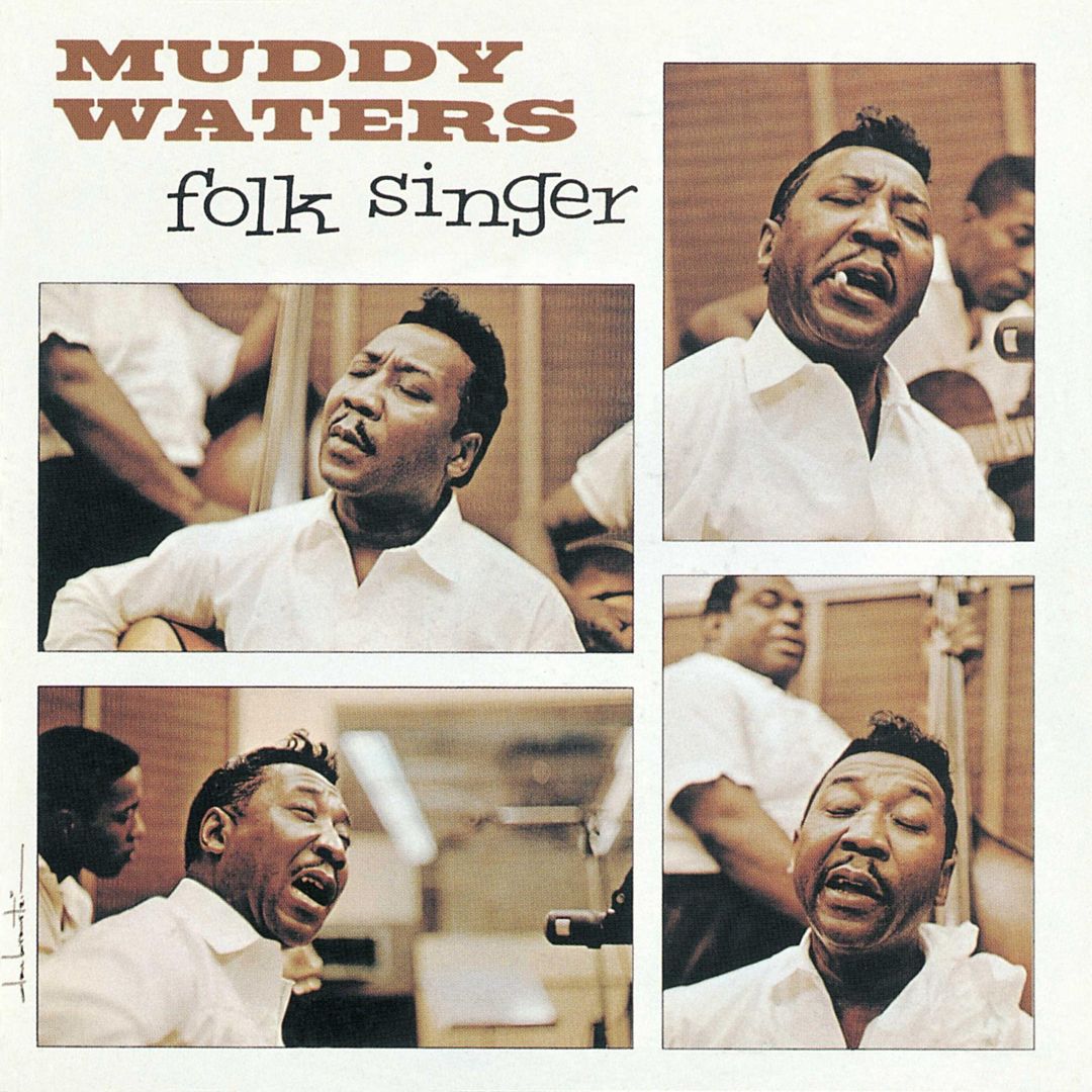 Folk Singer [Chess Acoustic Sounds Series] [180g LP] cover art