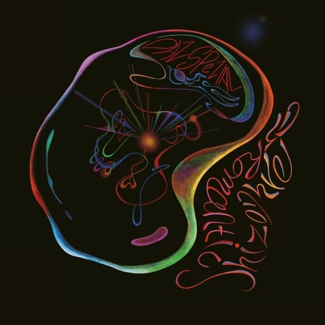 Romantic Schizophremic cover art