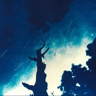 Split cover art