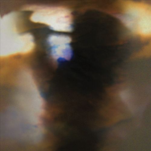 Fall Be Kind cover art
