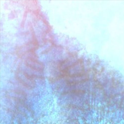 Worm at the Core cover art