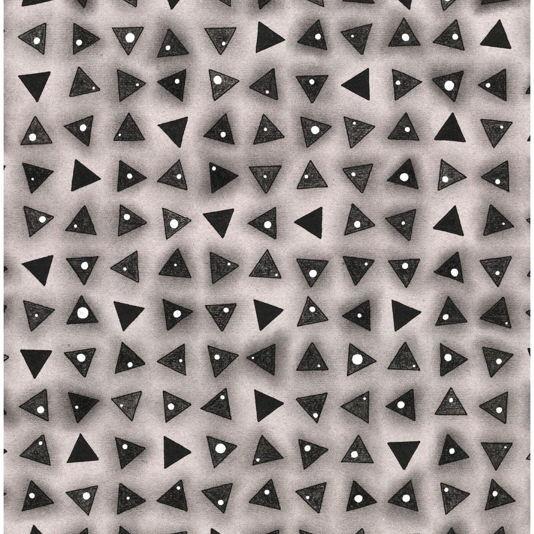 Shapeshifter [Black Ice Vinyl] cover art