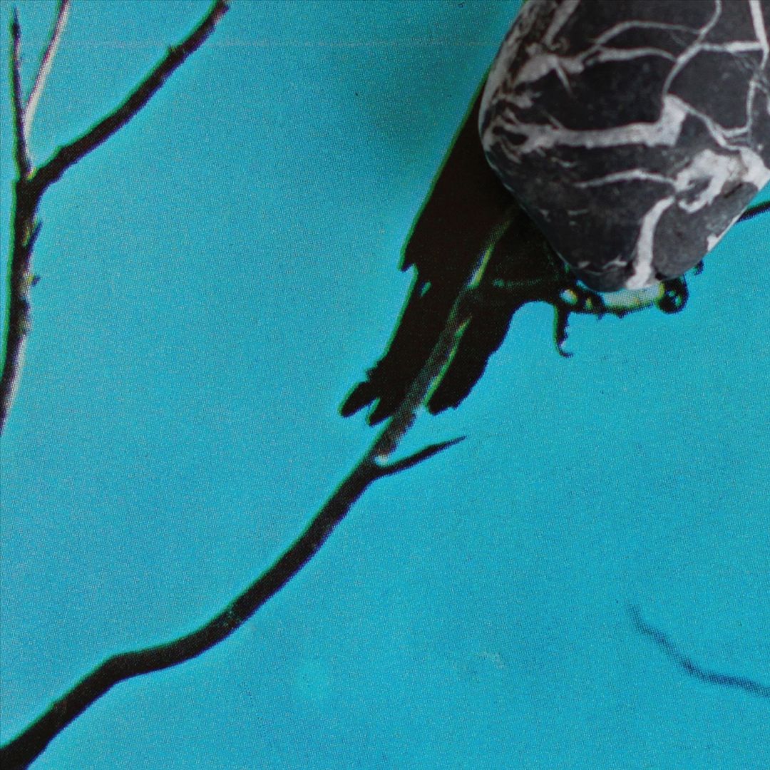Stateless [LP] cover art