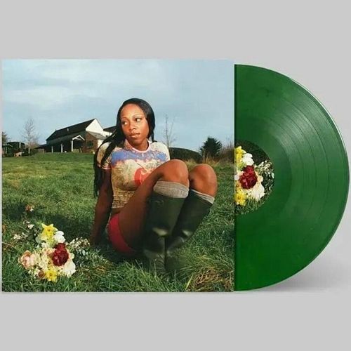 Little House [Limited Green Colored Vinyl] cover art