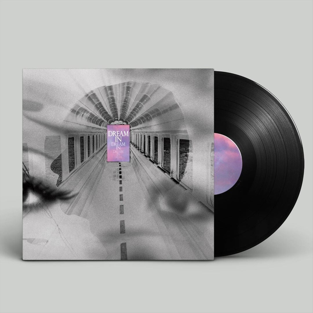 Dream in Dream cover art