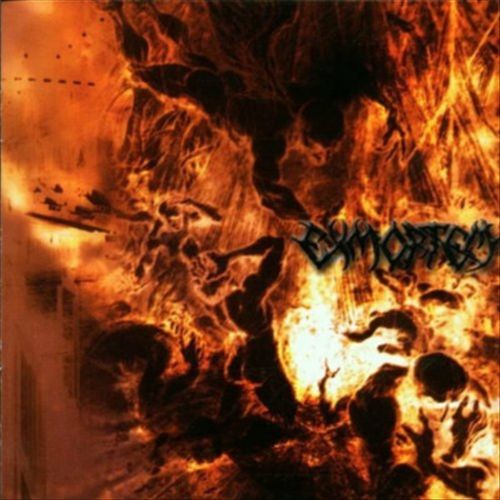 Berzerker Legions [Marbled Orange Vinyl] cover art