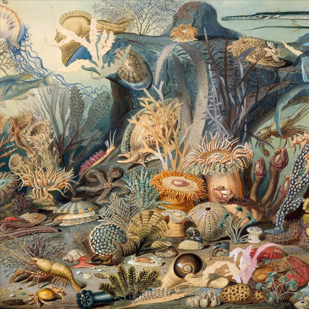 Episodes in Oceanography 2 cover art