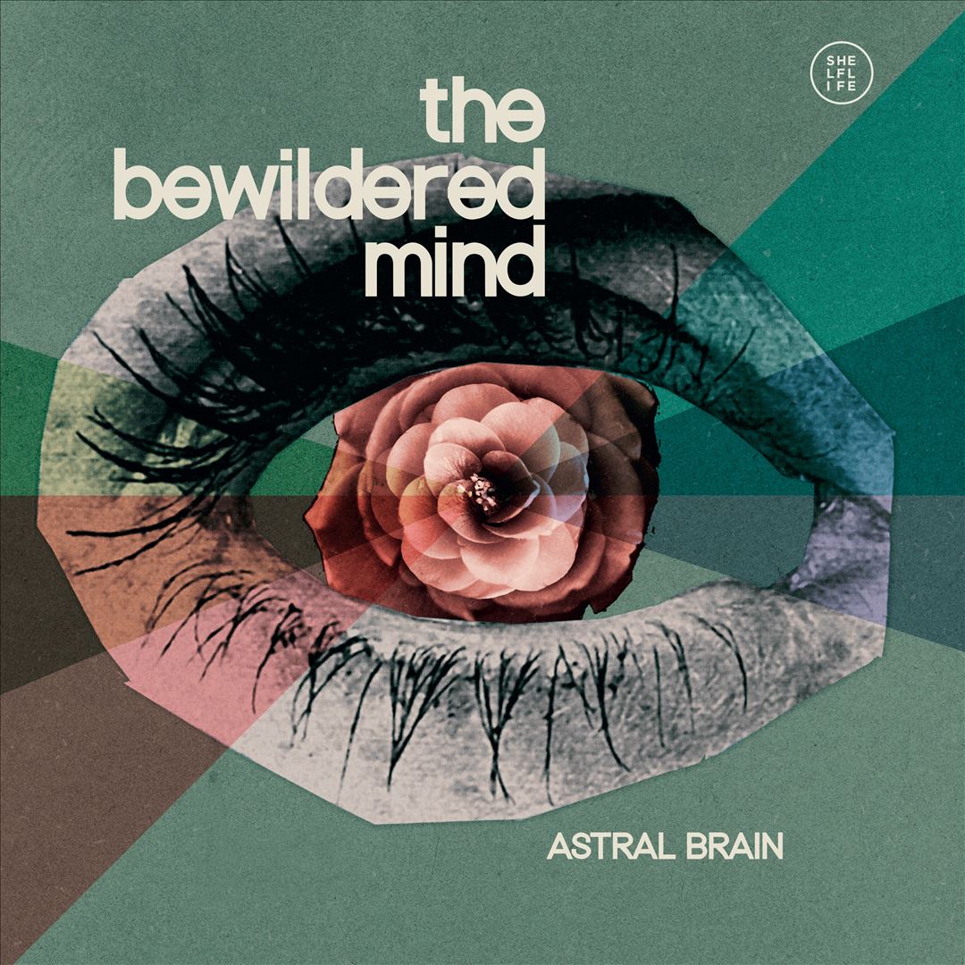 Bewildered Mind cover art