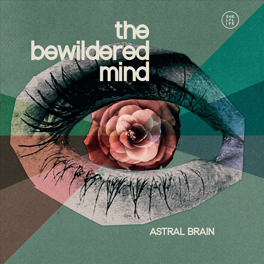 Bewildered Mind cover art