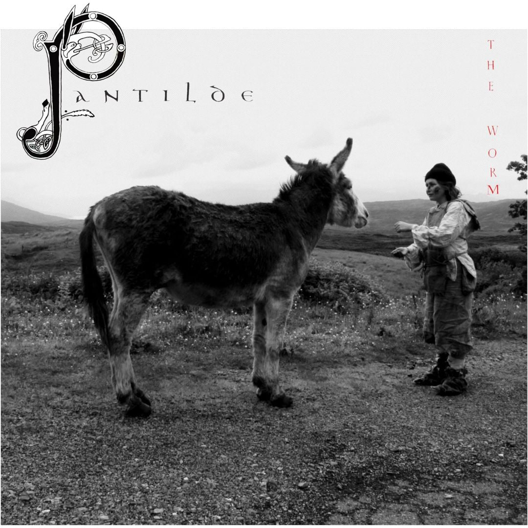Pantilde cover art
