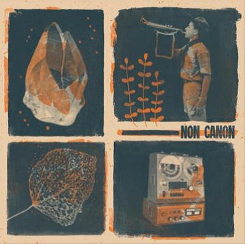 Non Canon cover art