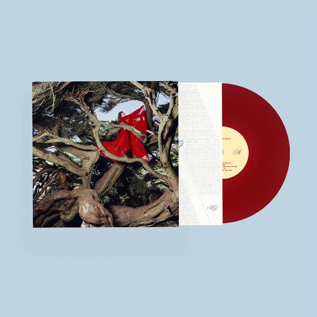 Nested in Tangles cover art