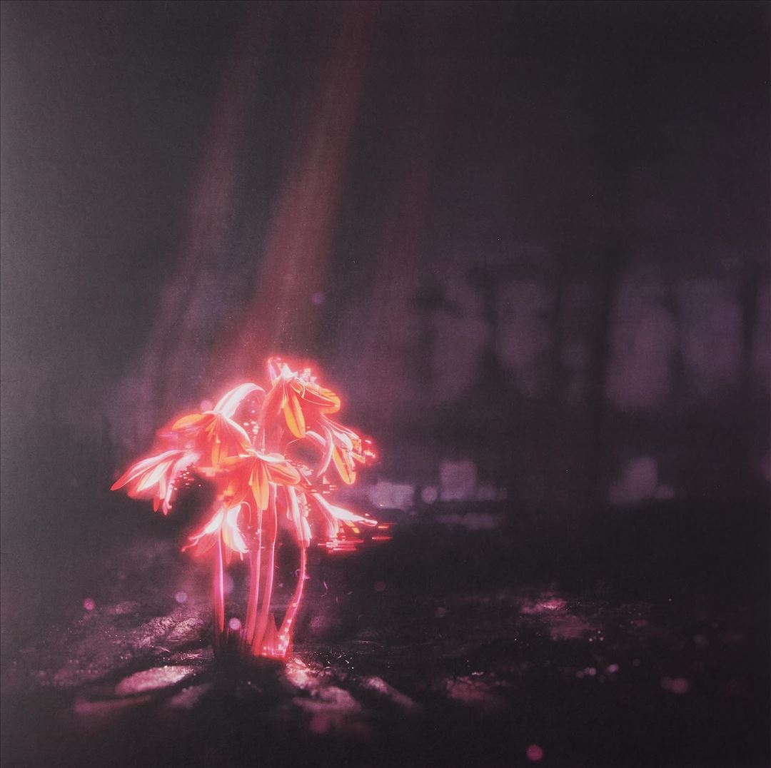 Kiss For The Whole World [Pink Sparkle Vinyl] cover art