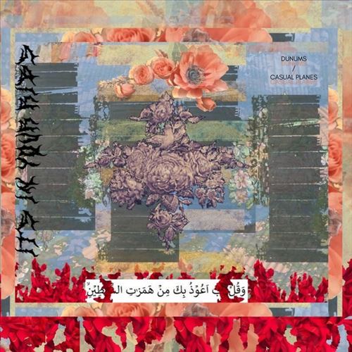 Its in Your Ribs cover art