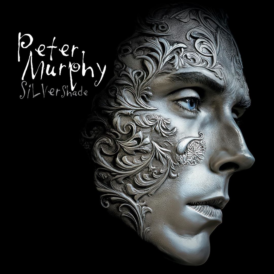 Silver Shade cover art