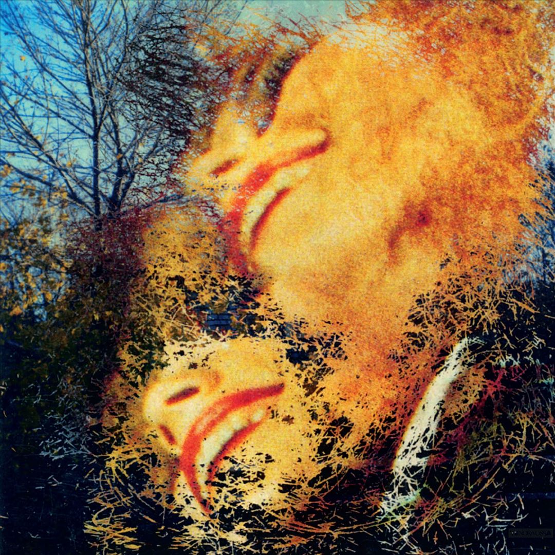 See Those Colours Fly cover art