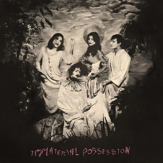 Immaterial Possession cover art