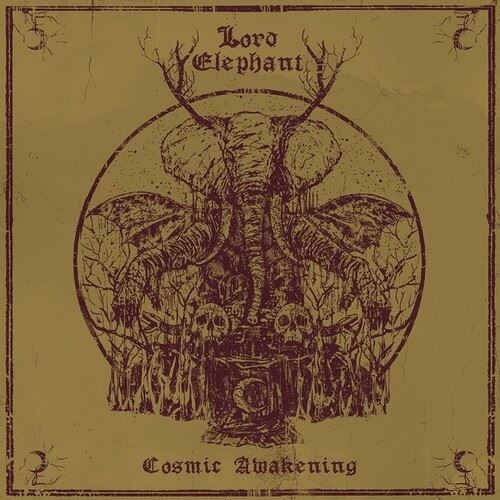 Cosmic Awakening cover art