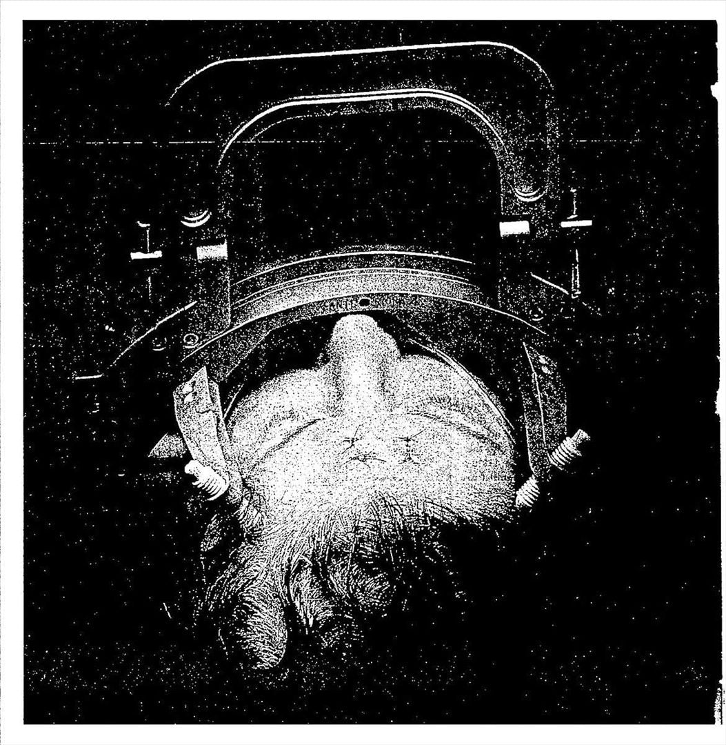 Indoctrinate cover art