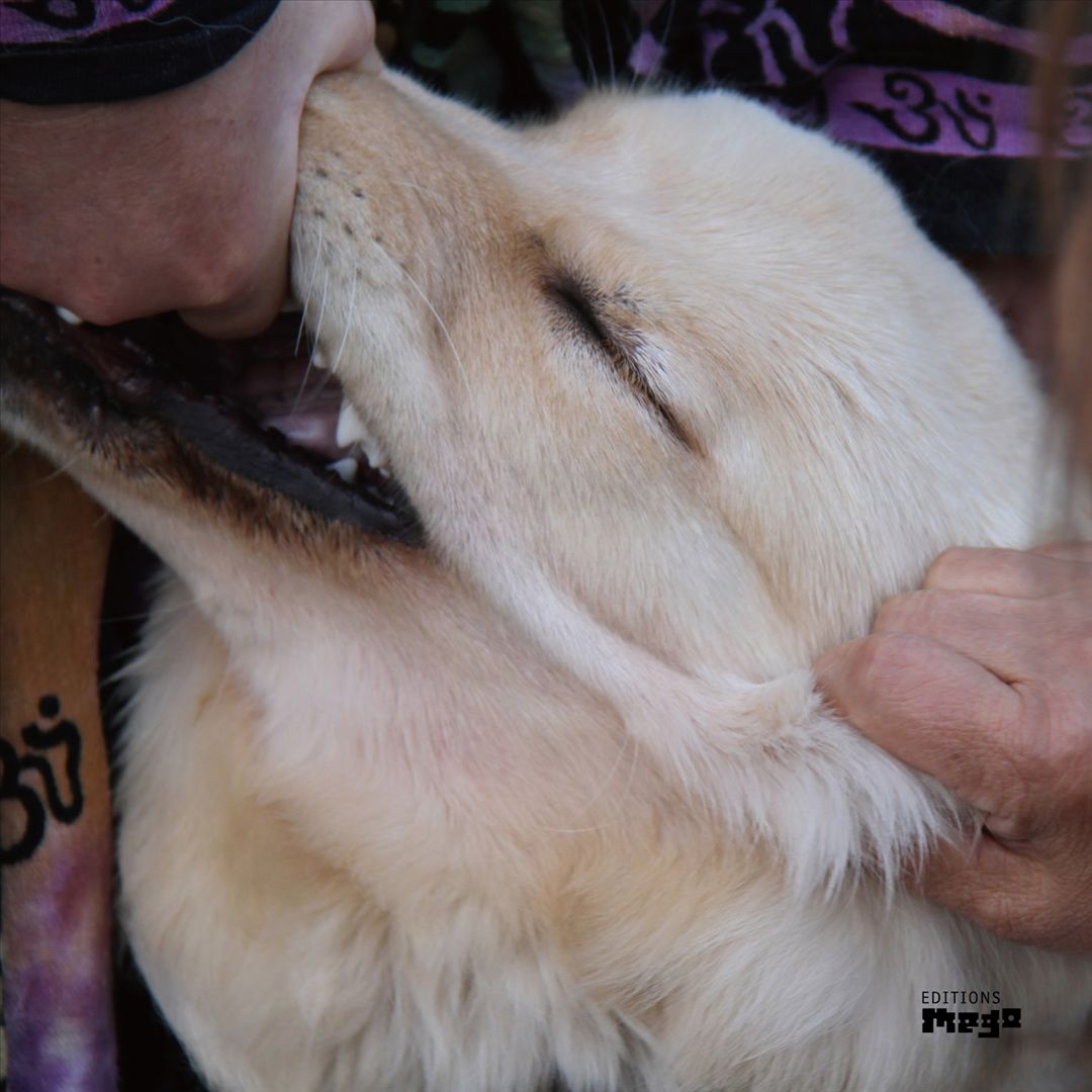 It's Hard for Me to Say I'm Sorry [LP] cover art