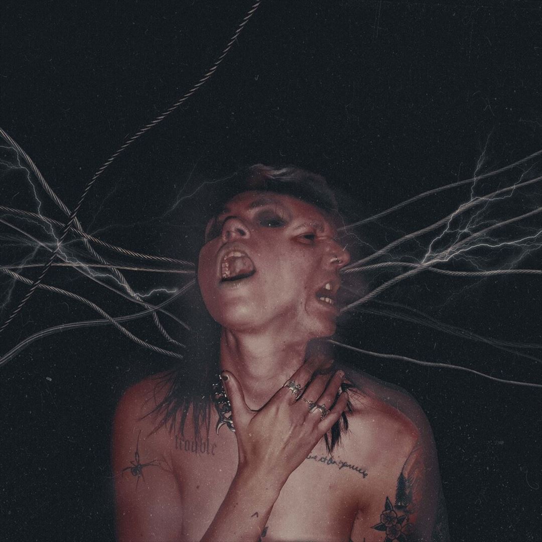 A Call to the Void cover art