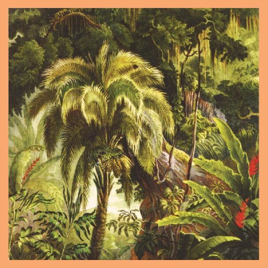 Forêt cover art