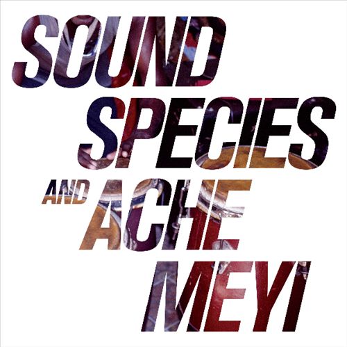 Soundspecies & Ache Meyi [Limited Edtion LP] cover art