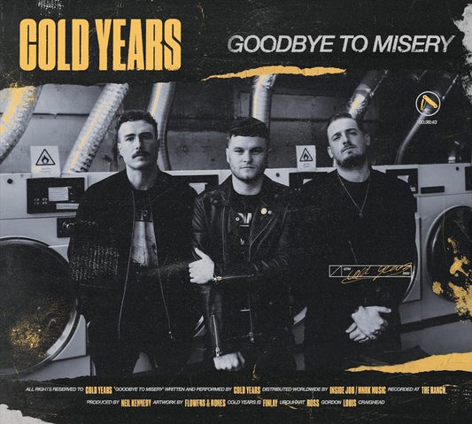 Goodbye to Misery cover art