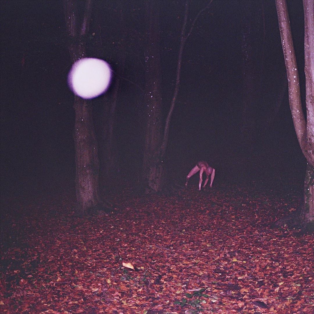 Skinwalker cover art
