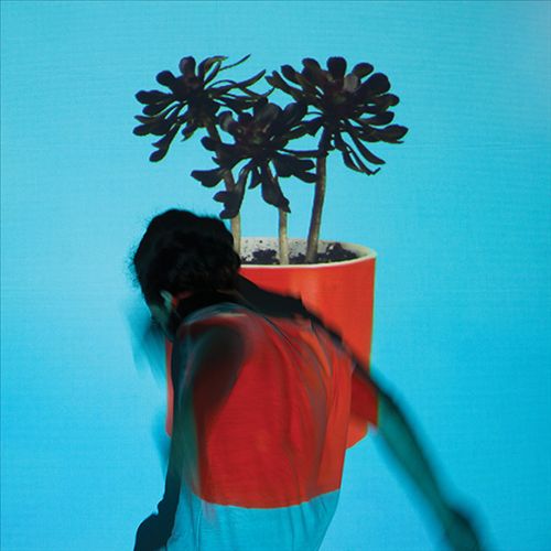 Sunlit Youth [LP] cover art
