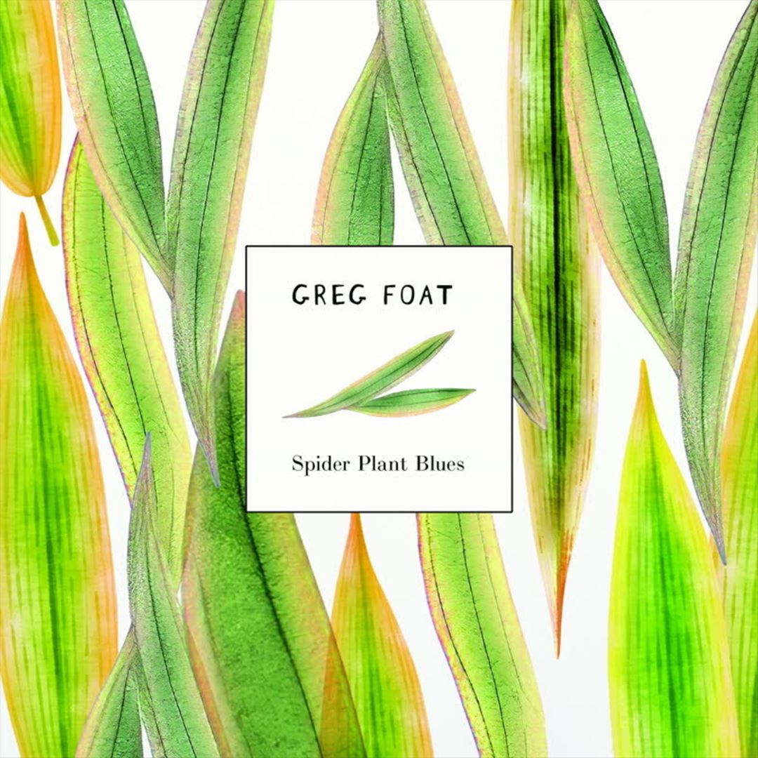 Spider Plant Blues cover art