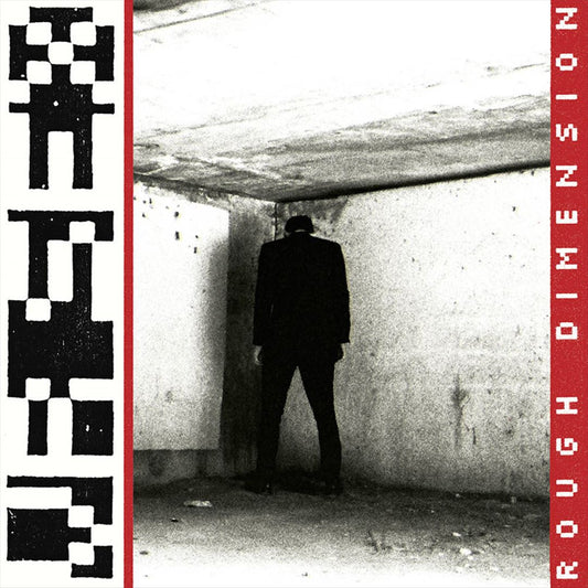 Rough Dimension cover art