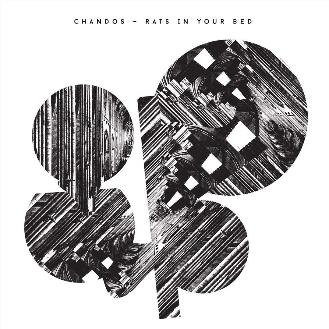 Rats in Your Bed cover art