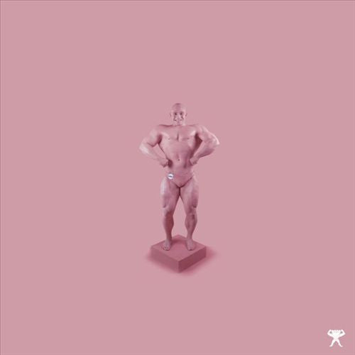 I Never Koos This Life cover art