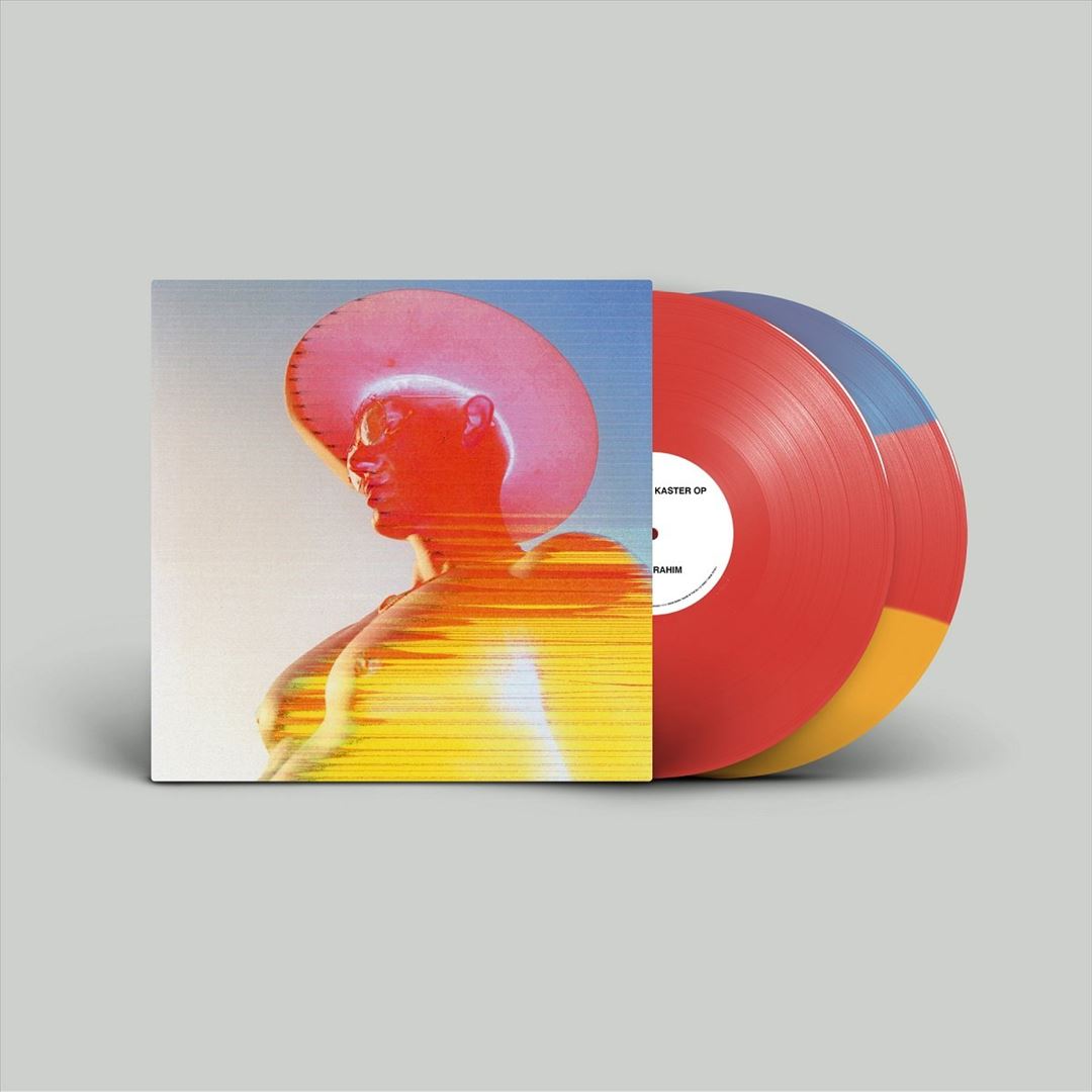 Når sjælen kaster op cover art