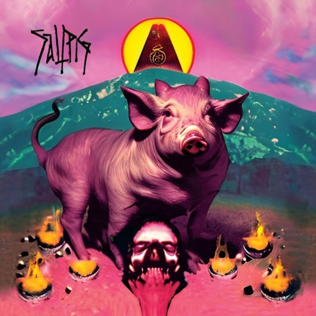 Saltpig cover art