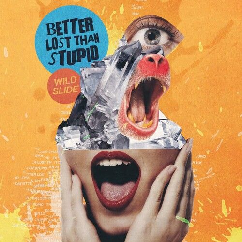 Wild Slide cover art