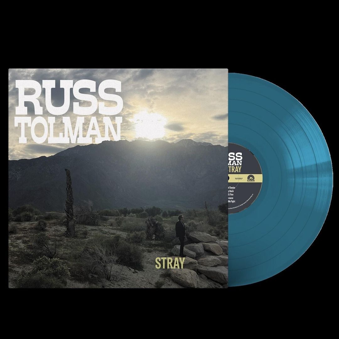 Stray cover art