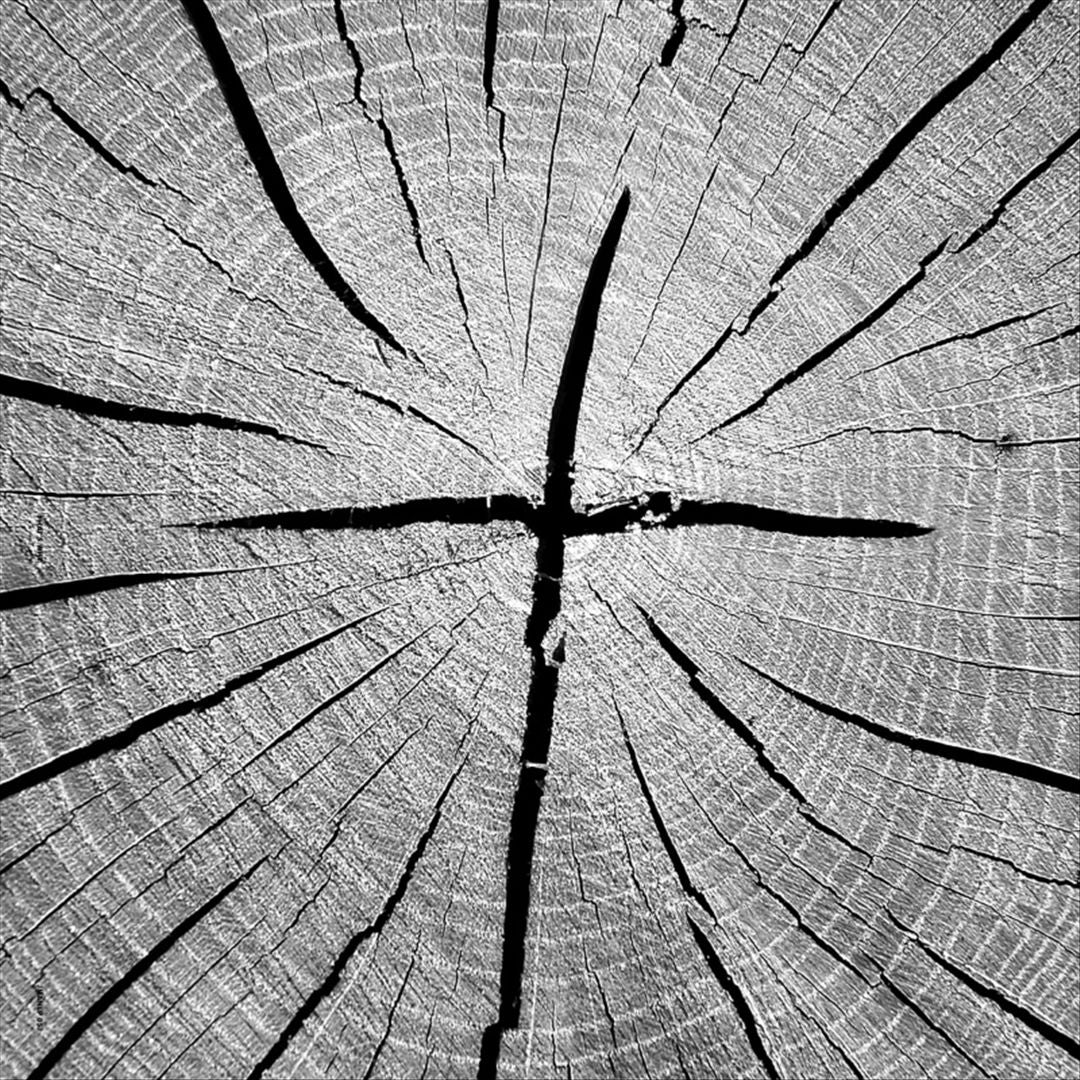 Best of That's Why cover art