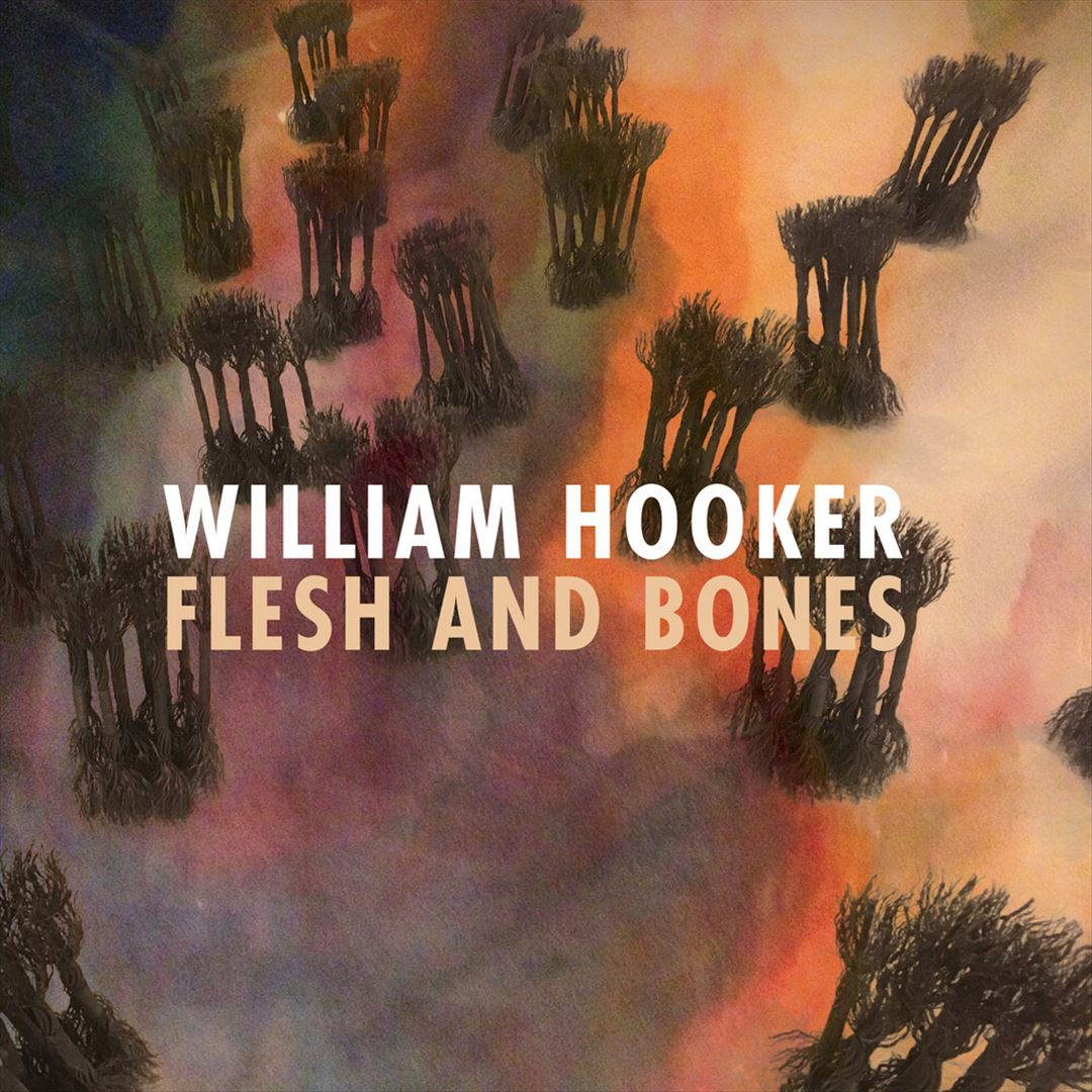 Flesh and Bones cover art