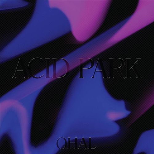 Acid Park cover art