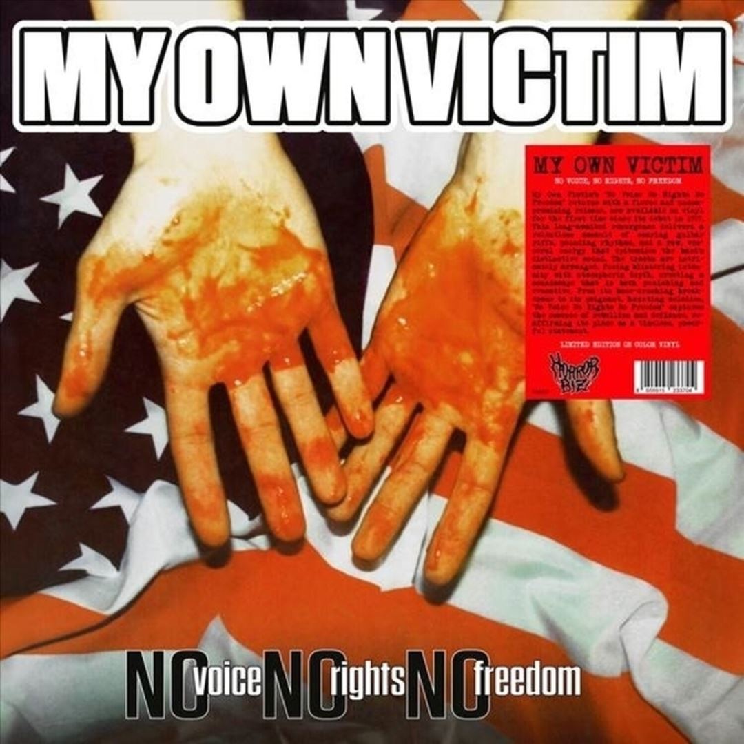 No Voice, No Rights, No Freedom cover art